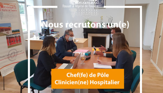 chef(fe) de pôle